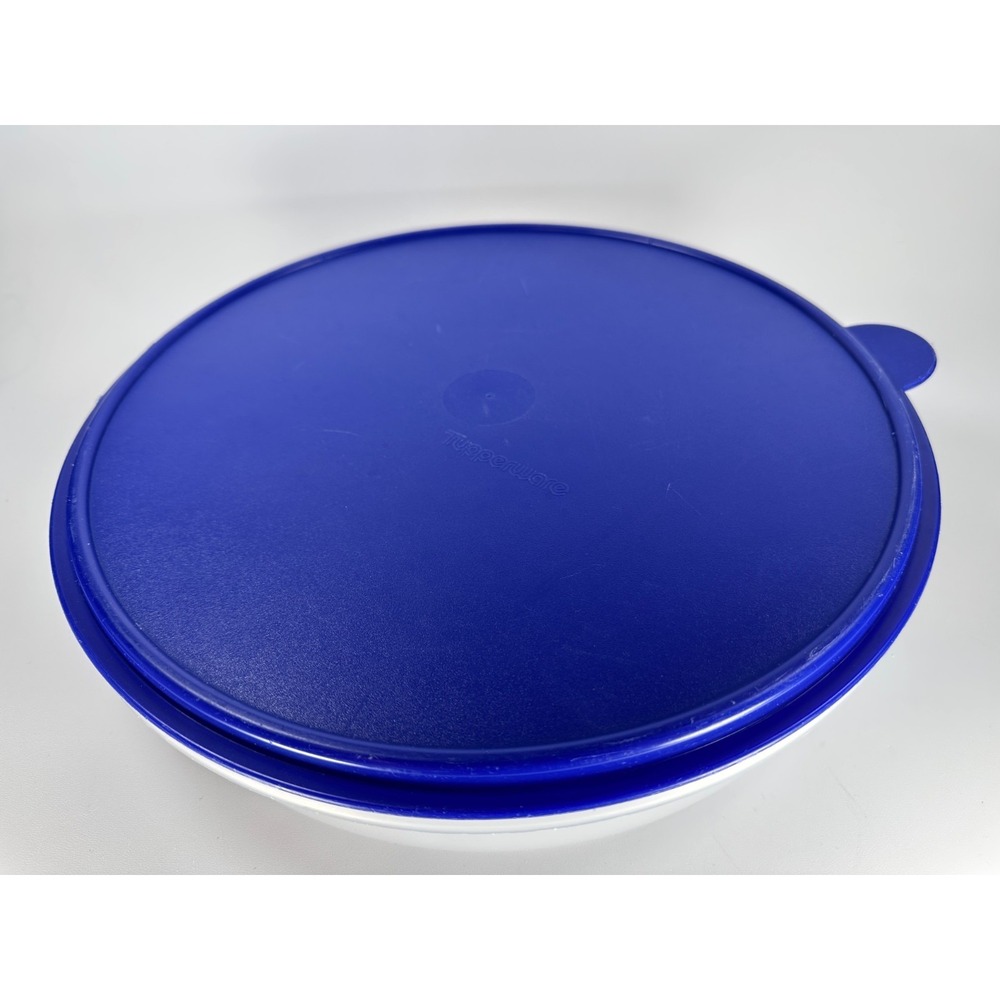 Tupperware Pie Cupcake Keeper Taker Pizza Cake Carrier 12" Clear Blue Lid 4889A